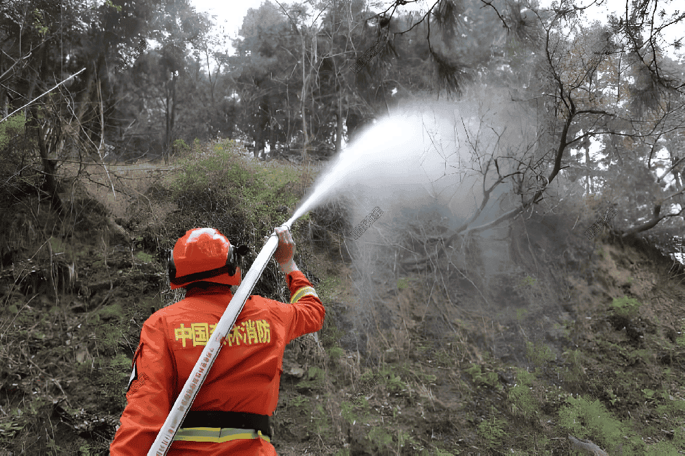 Portable Fire Pump Features