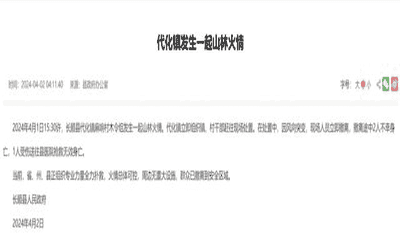 贵州长顺山火致3人死亡 政府回应：火已扑灭，3人均为镇上干部