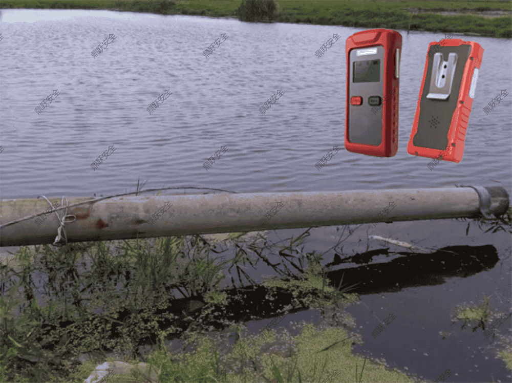 Amphibious Portable Leakage Detector: Essential for Multi-Scenario Electrical Hazard Detection
