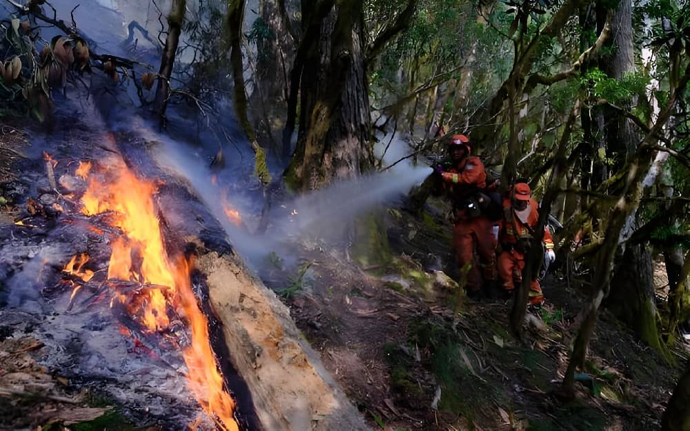 便携式灭火水泵的应用案例解析和分析