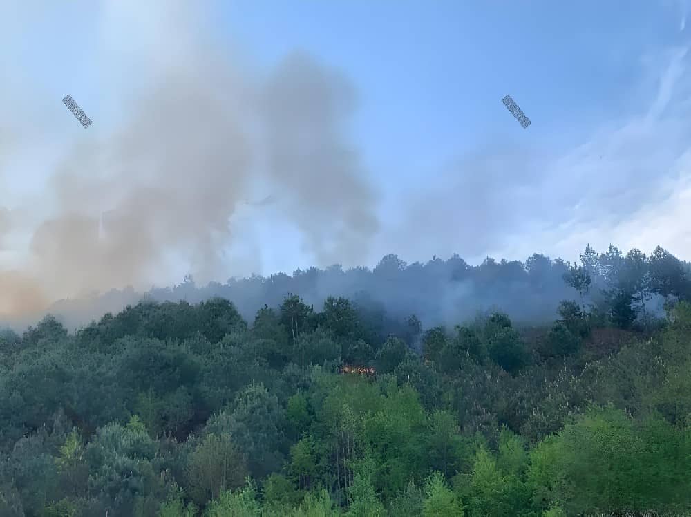 移动蓄水池：森林防火的灵活水源保障与智慧储水革新