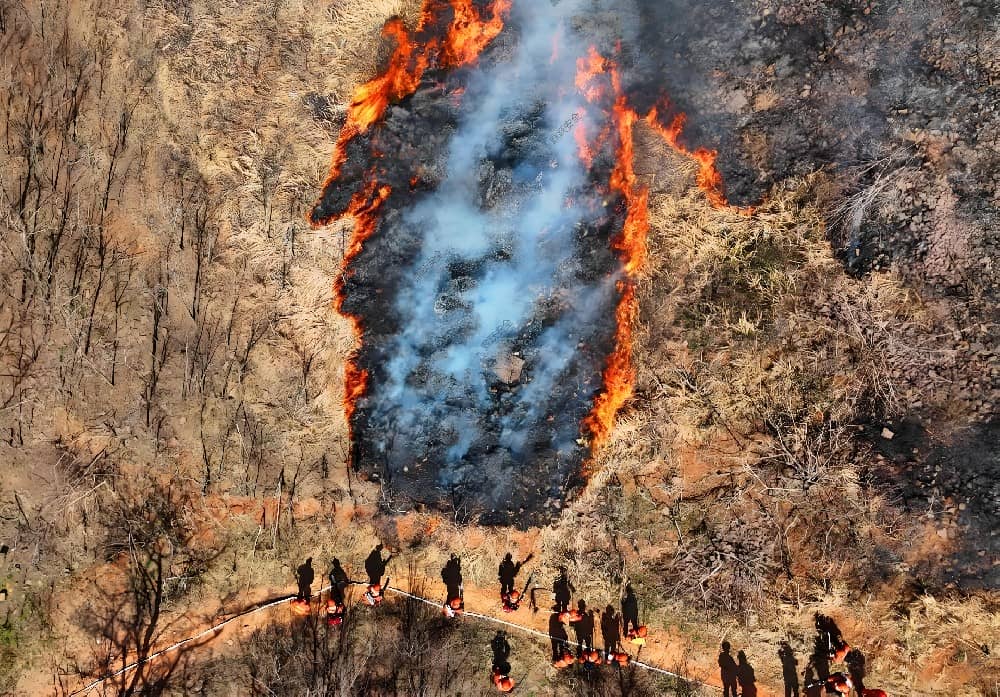 割灌机,森林防火的利器